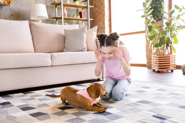 Ritratto di attraente allegra ragazza preadolescente che gioca con il cane divertendosi a stare da solo a casa casa luce appartamento al chiuso — Foto Stock