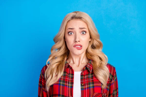 Foto do penteado loiro estressado milenar senhora mordida lábio desgaste camisa vermelha isolada no fundo de cor azul — Fotografia de Stock