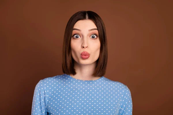 Photo of flirty brunette young lady blow kiss wear dotted shirt isolated on brown color background — Stockfoto