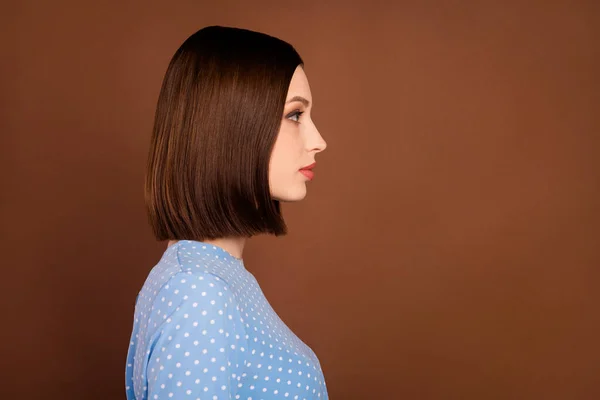 Профиль фото милой брюнетки Millennial леди выглядеть носить пунктирные рубашки изолированы на коричневом фоне цвета — стоковое фото