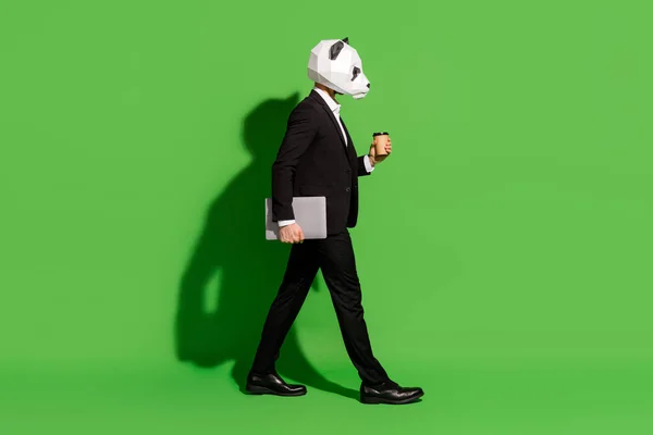 Zdjęcie pracownika facet spacer trzymać na wynos filiżanka kawy laptop nosić panda głowa czarny garnitur izolowane na zielonym tle kolor — Zdjęcie stockowe