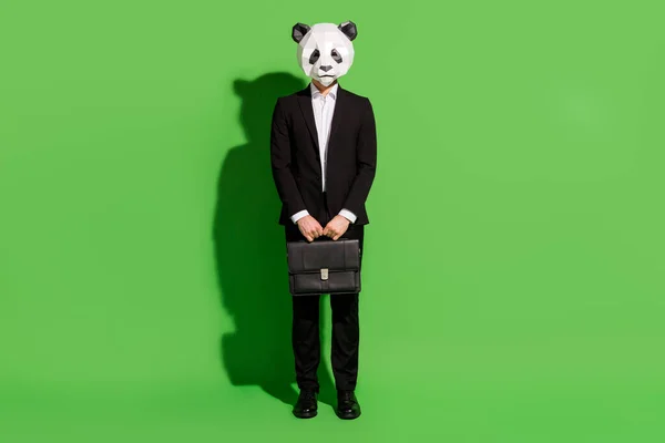 Foto de ocupado trabajador de oficina chico mantenga maleta desgaste panda máscara negro esmoquin zapatos aislados sobre fondo de color verde —  Fotos de Stock