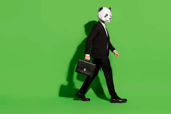 Foto de corporativo peludo salaryman segurar mala andar usar máscara de panda preto tux sapatos isolados no fundo de cor verde — Fotografia de Stock