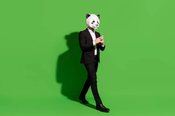 Foto do viajante china blogger walk hold telefone desgaste panda máscara preto tux sapatos isolados no fundo de cor verde — Fotografia de Stock