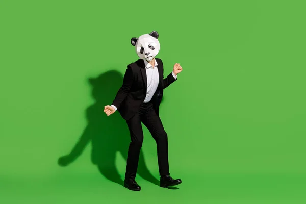 자유롭고 유쾌 한 기업 행사가 열리는 사진 팬더 마스크검은 턱시도를 하고 있다. — 스톡 사진
