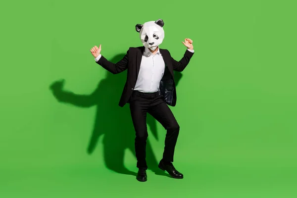 Foto de hipster absurdo homem dança disco desgaste panda máscara preto tux sapatos isolados no fundo de cor verde — Fotografia de Stock