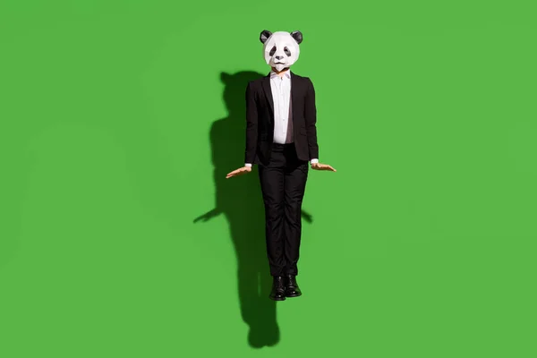 Tamanho do corpo de comprimento total vista de homem elegante e tímido desconhecido vestindo máscara de panda pulando posando em linha reta isolado sobre fundo de cor verde brilhante — Fotografia de Stock