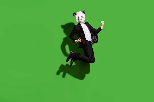 Full length body size view of classy lucky man guy wearing panda mask jumping celebrating isolated over bright green color background — Stock Photo, Image
