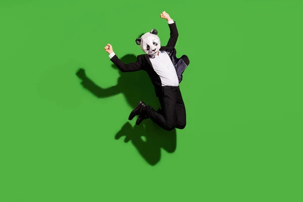 Full length body size view of classy man wearing panda mask jumping rejoicing dancing isolated over bright green color background — Stock Photo, Image