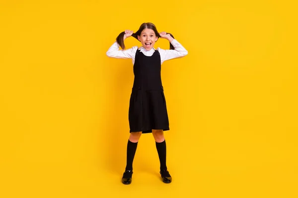 Ganzkörpergröße Foto Schulmädchen halten zwei Schwänze schreien verrückt isoliert helle gelbe Farbe Hintergrund — Stockfoto