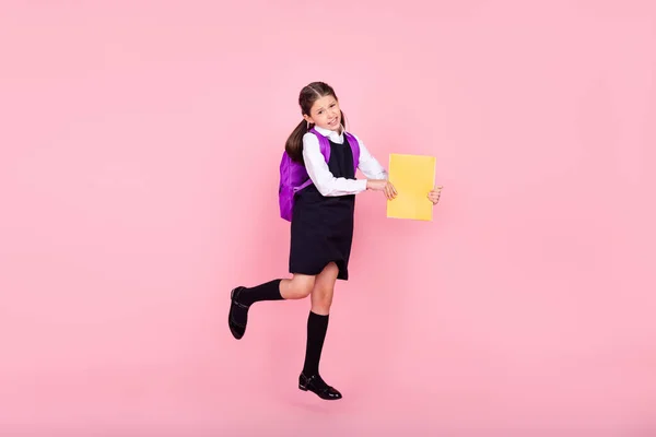 Full storlek profil sida foto av ung skola flicka glad positiv leende anteckningsbok läxa lektion isolerad över rosa färg bakgrund — Stockfoto