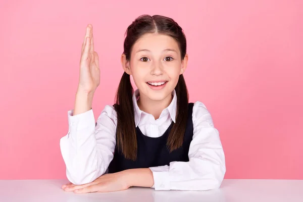 Foto portret klein meisje met staarten zitten aan het bureau op school glimlachend het verhogen van de hand omhoog geïsoleerde pastel roze kleur achtergrond — Stockfoto