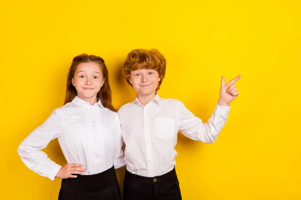 Foto dobré nálady krásný úsměv dva nejlepší přátelé žáci reklamní produkt nabídka izolované na žlutém pozadí — Stock fotografie