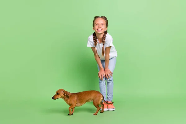 Lunghezza completa dimensione del corpo vista di attraente allegra preteen ragazza trascorrere del tempo con il suo cane carino isolato su sfondo di colore verde — Foto Stock