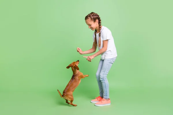 Lunghezza completa dimensione del corpo vista di bella allegra attenta preteen ragazza alimentazione adorabile cucciolo insegnamento isolato su sfondo di colore verde — Foto Stock