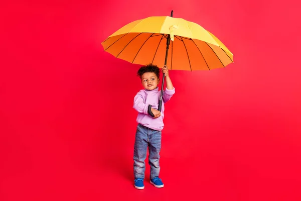 Повна довжина вигляду тіла привабливого веселого хлопчика, що тримає парасольку, що йде ізольовано на яскраво-червоному кольоровому фоні — стокове фото