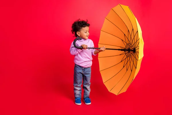 全长体形吸引人的欢快的十几岁以下的孩子拿着遮阳伞隔离在明亮的红色背景下 — 图库照片