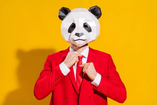 Foto de hombre oso panda éxito ajustar corbata desgaste máscara cabeza traje rojo corbata aislado en el fondo de color amarillo —  Fotos de Stock