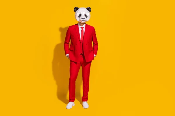 Foto de confiante cara panda mãos bolsos usar máscara sapatos gravata terno vermelho isolado no fundo de cor amarela — Fotografia de Stock