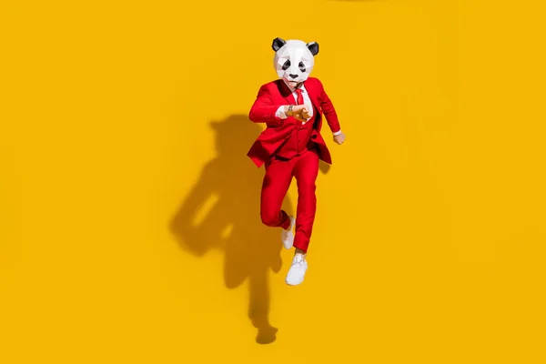 Foto de hombre panda anónimo salto mirada mirada reloj tarde desgaste máscara esmoquin rojo zapatos aislados sobre fondo de color amarillo —  Fotos de Stock