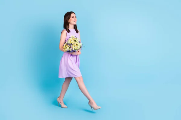 Ganzes Profil Seite Foto von glücklich attraktive Frau aussehen gehen leeren Raum halten Blumen isoliert auf blauem Hintergrund — Stockfoto
