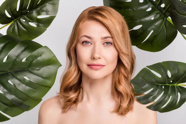 Retrato de mulher nua atraente com grande planta verde eco verão produto facial isolado sobre fundo de cor pastel cinza — Fotografia de Stock