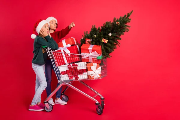 Volledige lichaamsomvang weergave van twee verbaasde vrienden vriendschap kopen goederen tonen kopieerruimte geïsoleerd over helder rode kleur achtergrond — Stockfoto