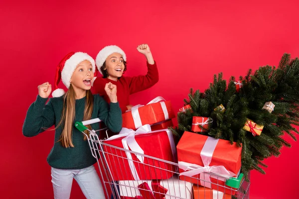 Porträt von zwei fröhlich erstaunt Freunde Freundschaft tragen Einkäufe speichern Spaß isoliert über leuchtend rote Farbe Hintergrund — Stockfoto