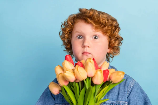 Foto portrét kudrnatý malý chlapec zírá ohromen vedení tulipánů parta izolované pastel modrá barva pozadí — Stock fotografie