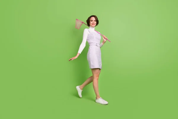 원문 기사보기 미국 여성이 웃으며 행복해 하는 모습을 찍은 사진 전체가 녹색 배경 위에 외따로 떨어져 있는 나비 그물을 들고 걷는다 — 스톡 사진
