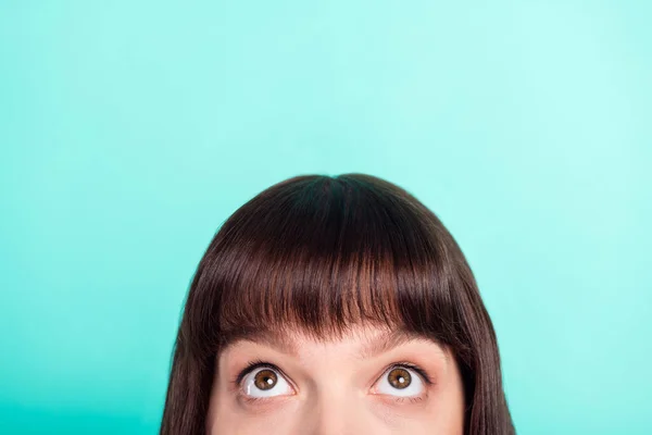 Gewassen foto brunette vrouw staren naar lege ruimte geïsoleerde helder turquoise kleur achtergrond — Stockfoto