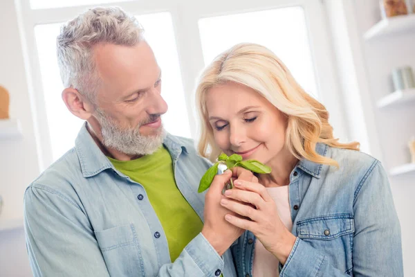 Foto de amantes maduros muito sonhadores vestidos camisa jeans desfrutando de aroma de salada sorrindo dentro de casa quarto — Fotografia de Stock