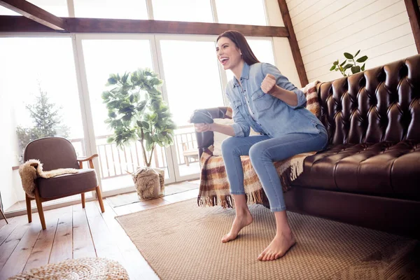 Profile side view portrait of attractive cheerful girl sitting on divan watching video rejoicing having fun at home house indoors — Stok Foto