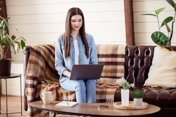 年轻商业女性快乐积极的微笑坐在沙发上远程办公笔记本电脑型电子邮件坐在沙发上 — 图库照片