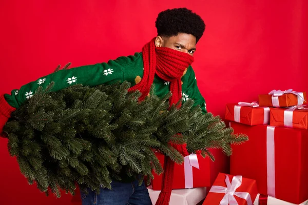 Retrato de atraente funky misterioso cara secreto Papai Noel trazendo árvore giftboxes inverno isolado sobre fundo de cor vermelha brilhante — Fotografia de Stock