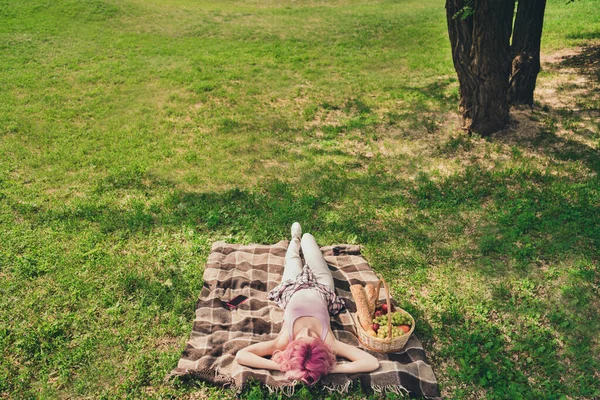 Yüksek açılı, geniş açılı, battaniyeye uzanmış genç bir kızın fotoğrafı. Piknik pikniği, yeşil çimlerin doğası. — Stok fotoğraf