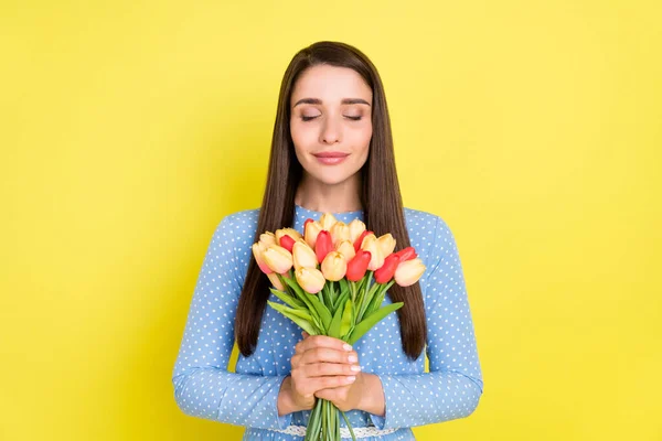 Фото мечтательной вдохновленной мирной девушки держать тюльпаны закрытые глаза носить пунктирные синие платья изолированный желтый цвет фона — стоковое фото