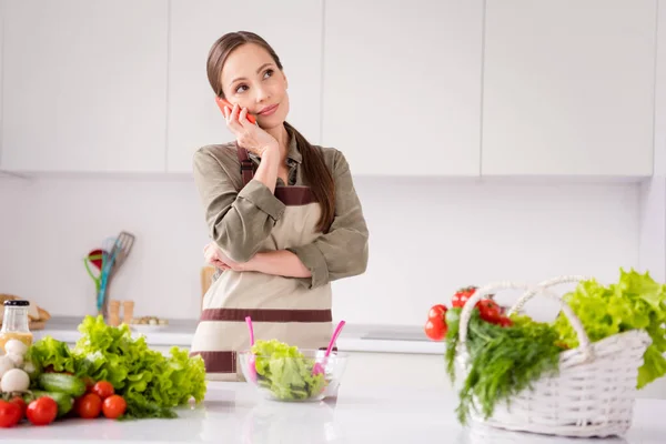Foto de empregada doméstica muito brilhante usar avental marrom cozinhar salada falando dispositivo moderno dentro de casa quarto casa — Fotografia de Stock