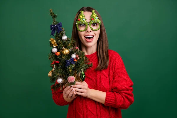 Photo of young girl happy positive smile wear eyeglasses evergreen tree christmas holiday isolated over green color background — Stock Photo, Image
