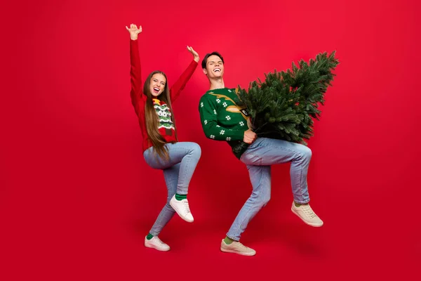 Foto van gek zorgeloos paar houden x-mas boom partij disco dans slijtage lelijk trui geïsoleerde rode kleur achtergrond — Stockfoto