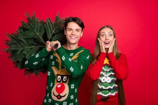 Foto von positiven frohen Freunden Mädchen aufgeregt Kerl tragen immergrünen Baum tragen hässlichen Pullover isoliert rote Farbe Hintergrund — Stockfoto
