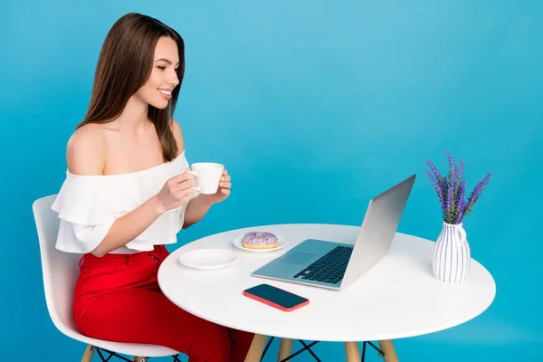 Profil boční fotografie mladé dívky šťastný pozitivní úsměv pít kávu číst notebook kavárna přestávka izolované přes modré barvy pozadí — Stock fotografie