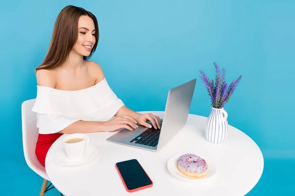 Fotografie chytré brunetky mladá dáma sedět psát laptop nosit halenku izolované na modrém pozadí — Stock fotografie