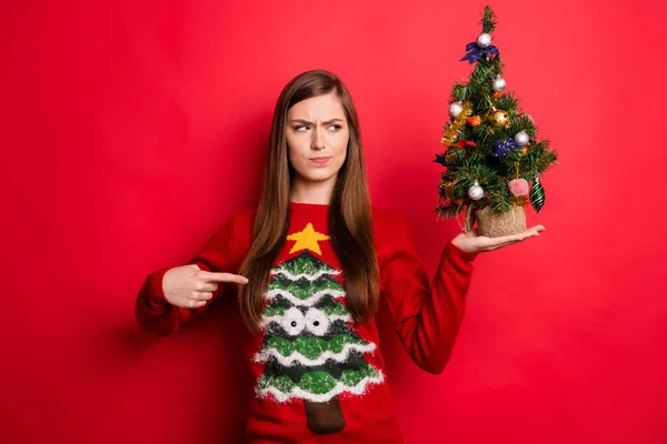 Photo of sad millennial lady point holiday sweater hold look little tree isolated on red color background — Stock Photo, Image