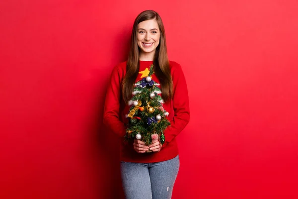 Foto de positivo alegre encantador mulher sorriso segurar mão árvore natal pequeno isolado no fundo de cor vermelha — Fotografia de Stock