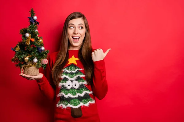 Foto di hooray giovane signora tenere piccolo albero punto sguardo vuoto spazio usura vacanza maglione isolato su sfondo di colore rosso — Foto Stock