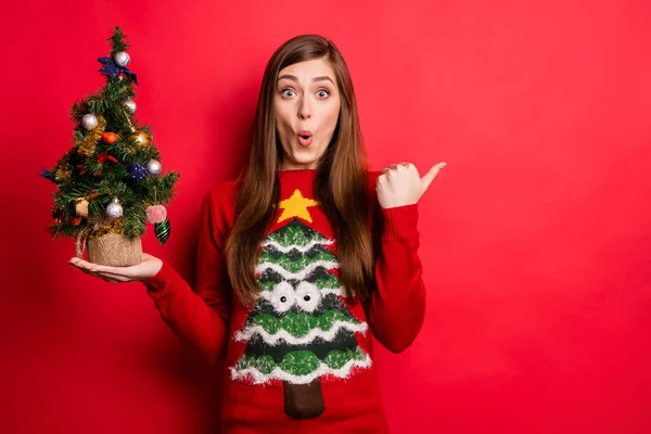 Foto de senhora milenar impressionado segurar pequeno ponto de árvore espaço vazio usar camisola feriado isolado no fundo de cor vermelha — Fotografia de Stock