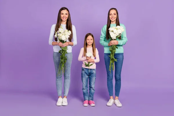 Foto av glänsande söt mamma två döttrar bära casual pullovers hålla vita blommor ler isolerad violett färg bakgrund — Stockfoto