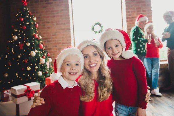 Ritratto di attraente allegra famiglia attenta indossare cappelli abbraccio albero dei sogni festale a casa mattone stile loft casa al chiuso — Foto Stock