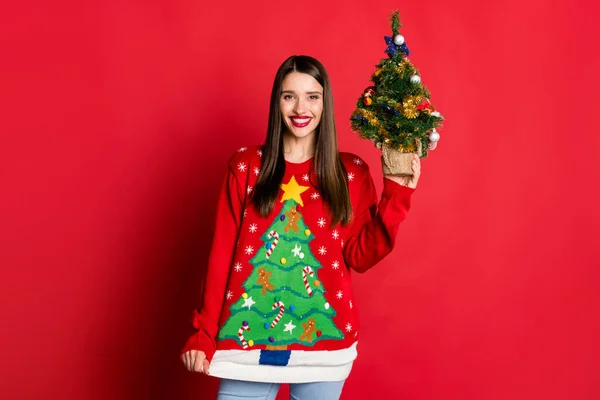 Foto de alegre alegre jovem mulher clima festivo segurar árvore natal isolado no fundo de cor vermelha — Fotografia de Stock